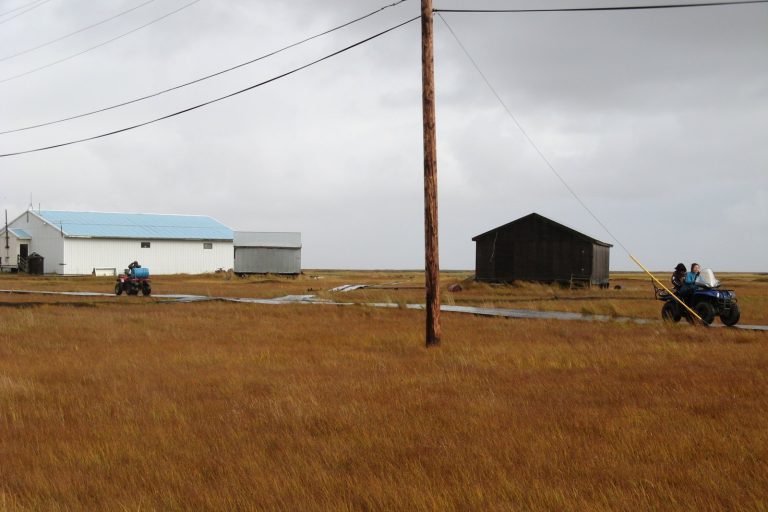Typhoon Halong Brings Devastating Floods to Rural Alaska Villages Suddenly