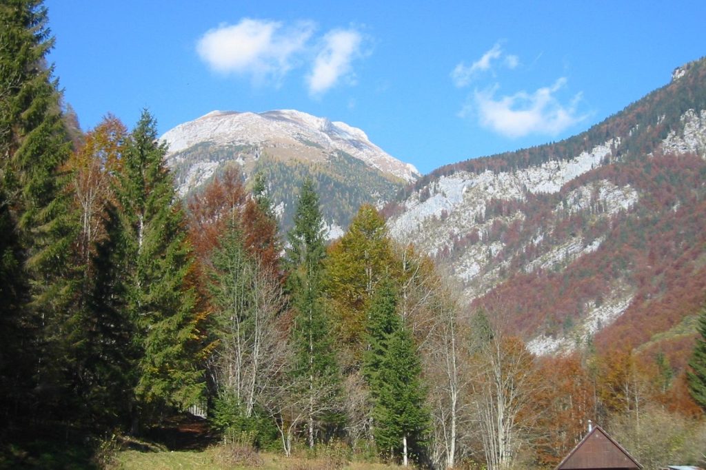 Avalanche on Tosc Mountain Claims Lives of Croatian Climbers Suddenly