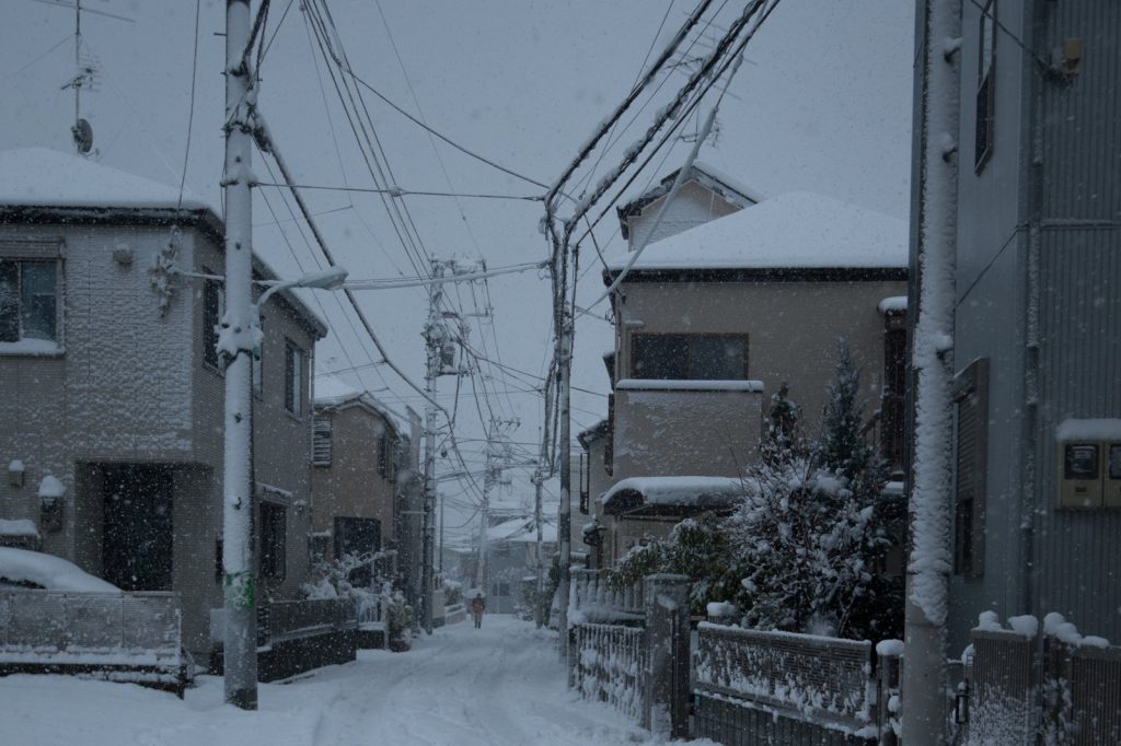 Japan Snowstorm Kills 35, Injures 400