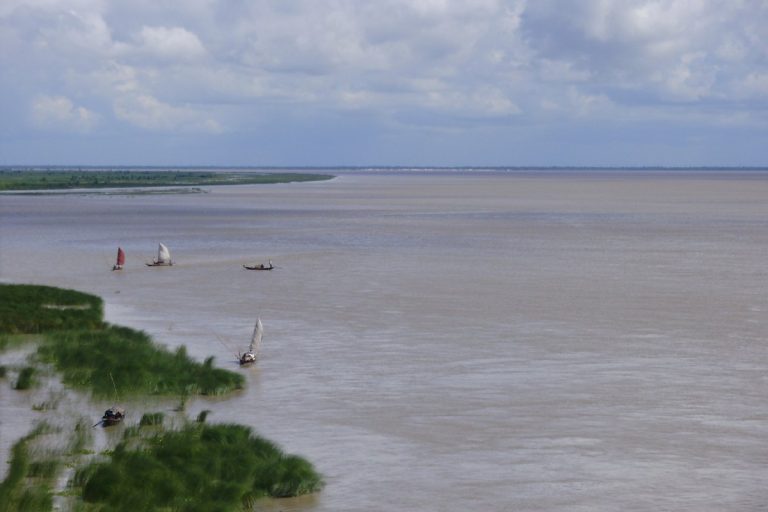 Bus Plunges into Padma River, Killing at Least 26 People Suddenly