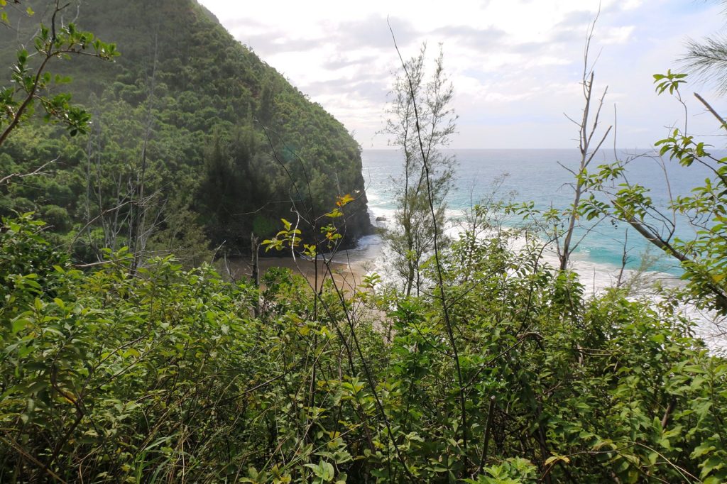Helicopter Crash on Kaua\u02bbi Leaves Three Dead, Complicates Rescue Efforts