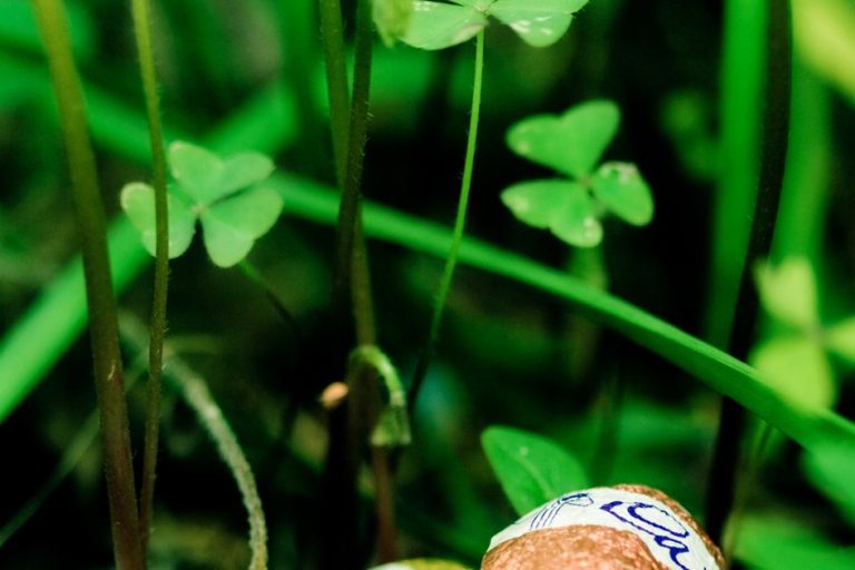 Tragic Windstorm Fells Tree on Easter Egg Hunt, Killing Three