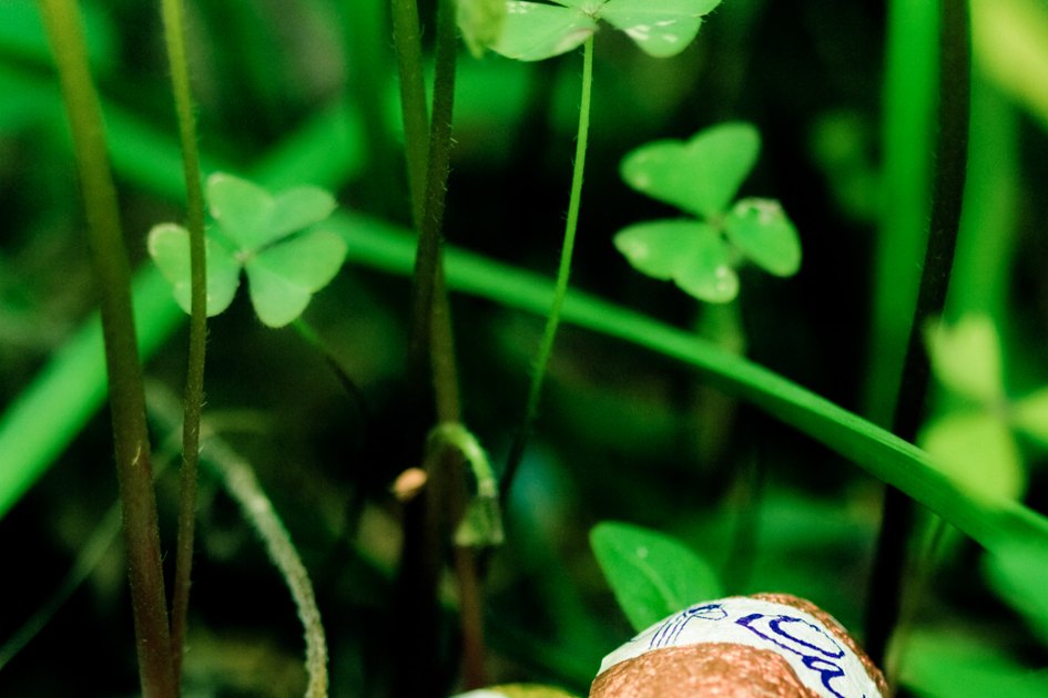 Tragic Windstorm Fells Tree on Easter Egg Hunt, Killing Three
