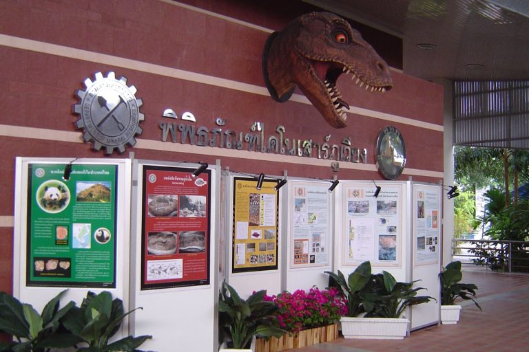 Thailand Unveils Largest Dinosaur Found in Southeast Asia Region