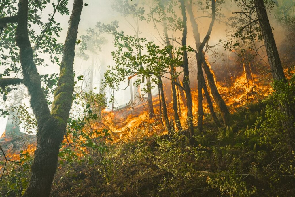 A massive wildfire line stretches across a hillside in Attica, Greece, with flames approaching residential areas and smoke billowing into the sky.