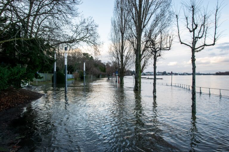 Coastal Flooding Kills Three NZ Fishermen