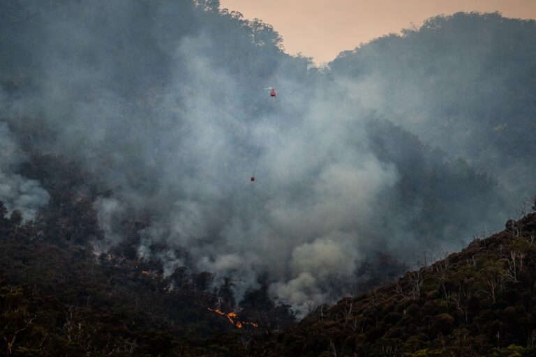 Peru Declares State of Emergency Amid Deadly Amazon Fires