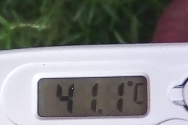 Europe’s Early Heatwave Shatters Records Across Multiple Nations