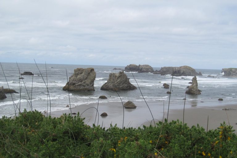 U.S. Geological Survey Reports Shallow 5.5 Quake West of Bandon, Oregon