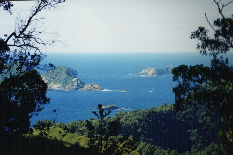 Shallow 10-km depth of Kermadec Islands quake amplifies ground shaking