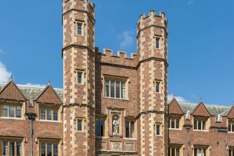 Cambridge Lab-Grown Brain Tissue Forms Functional Connections with Spinal Cord