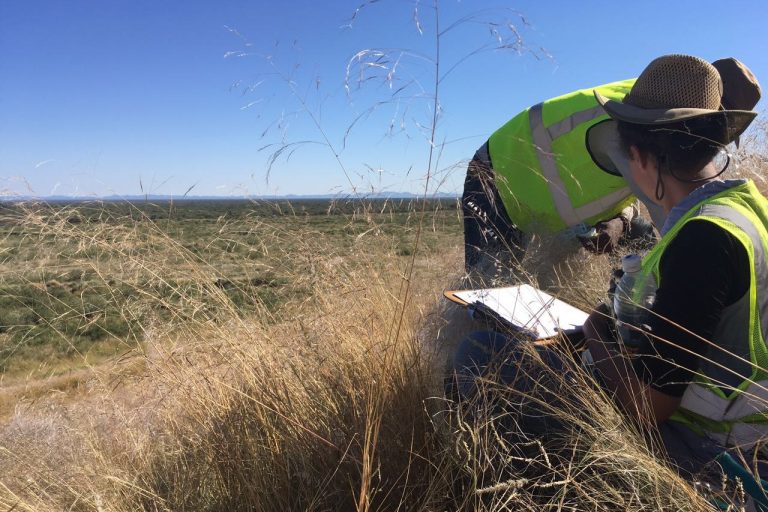Ongwe Minerals’ Gold Anomaly Could Transform Namibia’s Mining Landscape