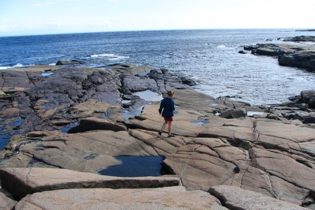 Scientists Discover 30,000-Litre Natural Oil Seep in Gulf of St. Lawrence
