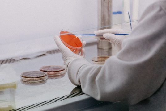 Columbia University Gene-Editing Advance Renews Ethical Concerns Columbia University Gene-Editing Advance Renews Ethical Concerns