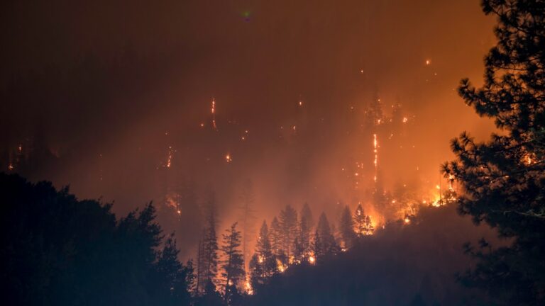 Wildfires Destroy Nearly Third of Jasper’s Structures Overnight Suddenly