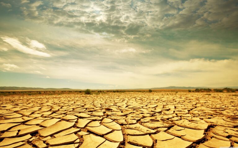 National Drought Group reconvenes months after last official drought ended