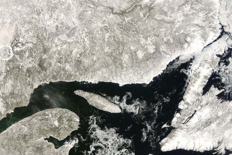 PhD Student Accidentally Discovers First Natural Oil Leak in Gulf