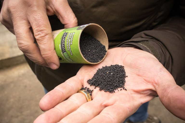 KIGAM Researchers Develop Cheaper, Faster Method to Turn Organic Waste into Biochar