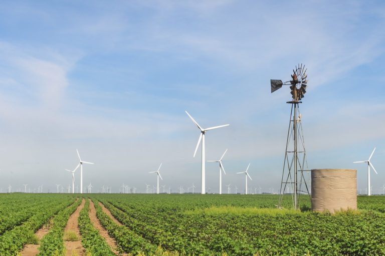 Energy Expert Reframes Debate as False Choices Between Growth and Environment