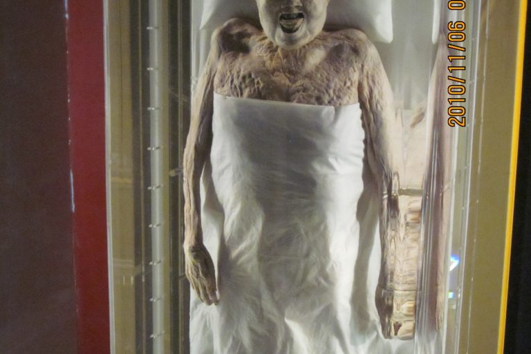 Melon Seeds Found in Stomach of 2,140-Year-Old Mummy Remain Intact