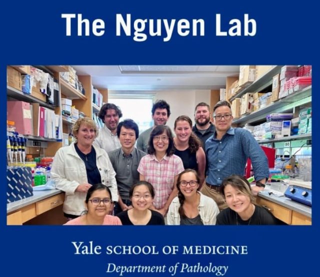 Yale School Of Medicine Researchers Yale School Of Medicine Researchers