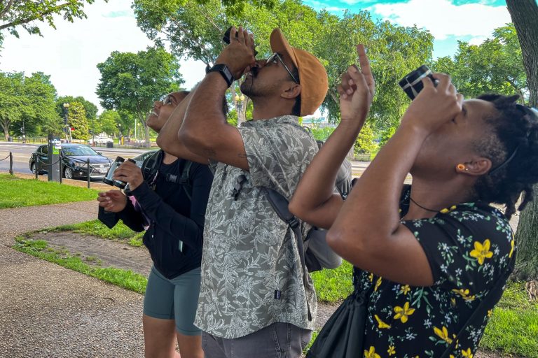 Birders risk missing migration entirely by focusing only on peak months