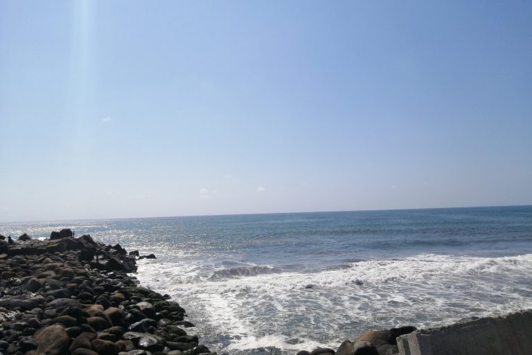 Moderate Mexico quake felt offshore, no tsunami risk