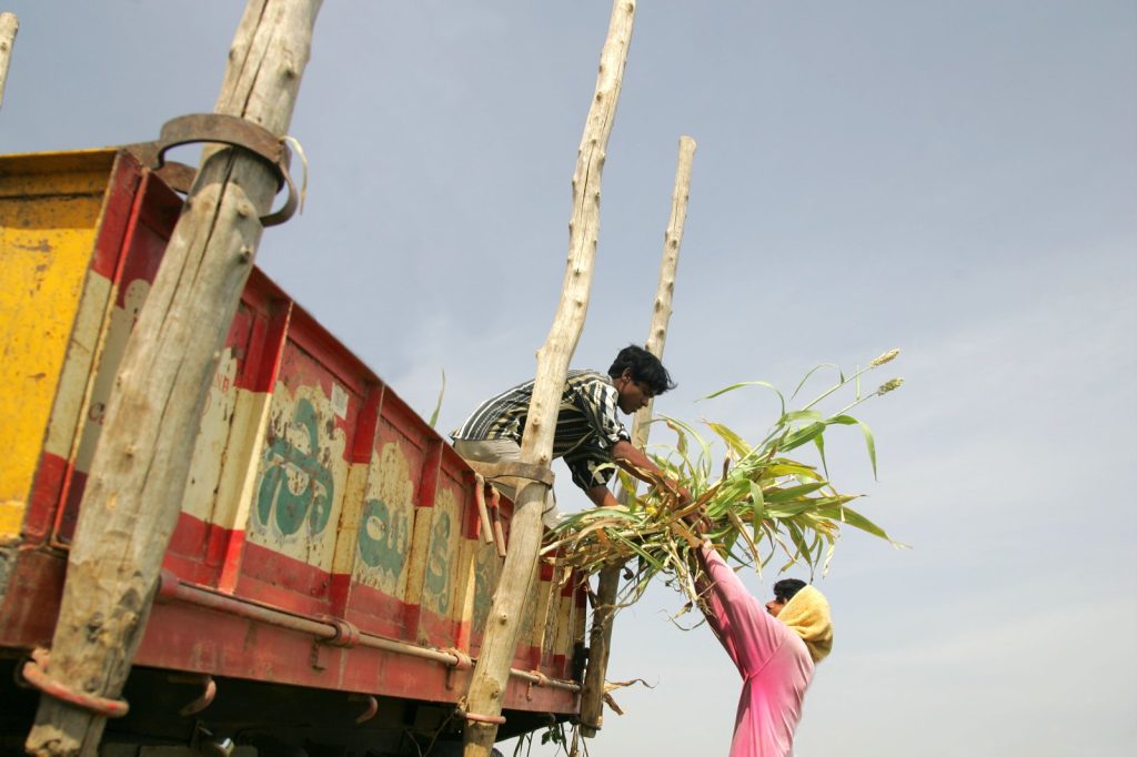 Indias Ethanol Program Gains Momentum Amid Longstanding Challenges