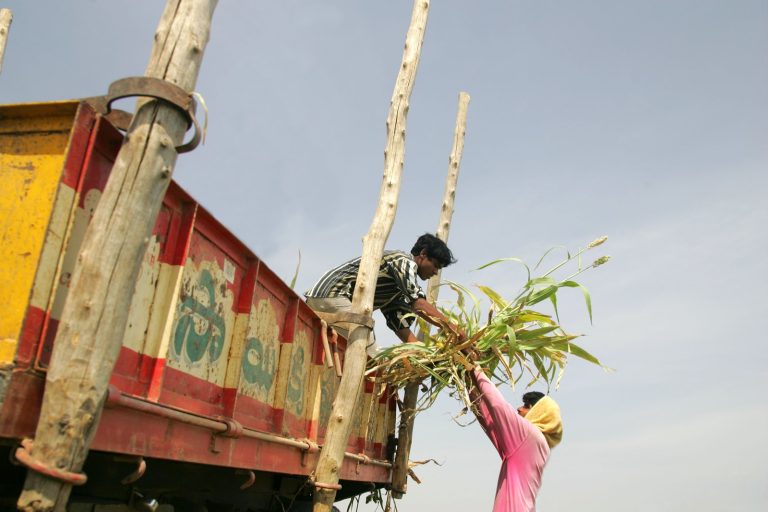 India’s Ethanol Program Gains Momentum Amid Longstanding Challenges