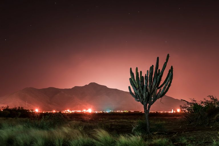 Light pollution threatens wildlife amid astronomical concerns