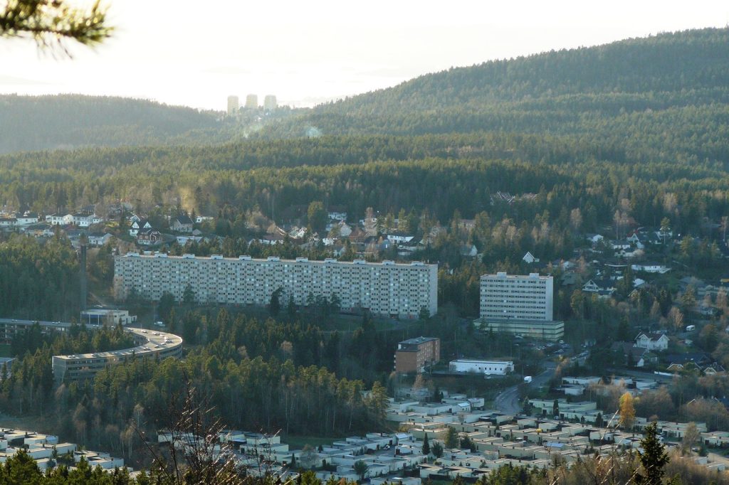 Norway Study: High-Income Families See First IQ Decline