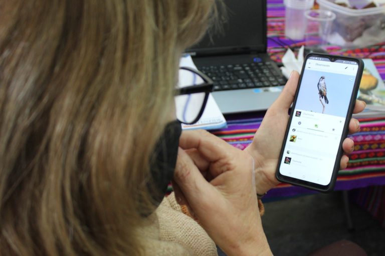 The Rise of Citizen Science Databases: From iNaturalist to GBIF