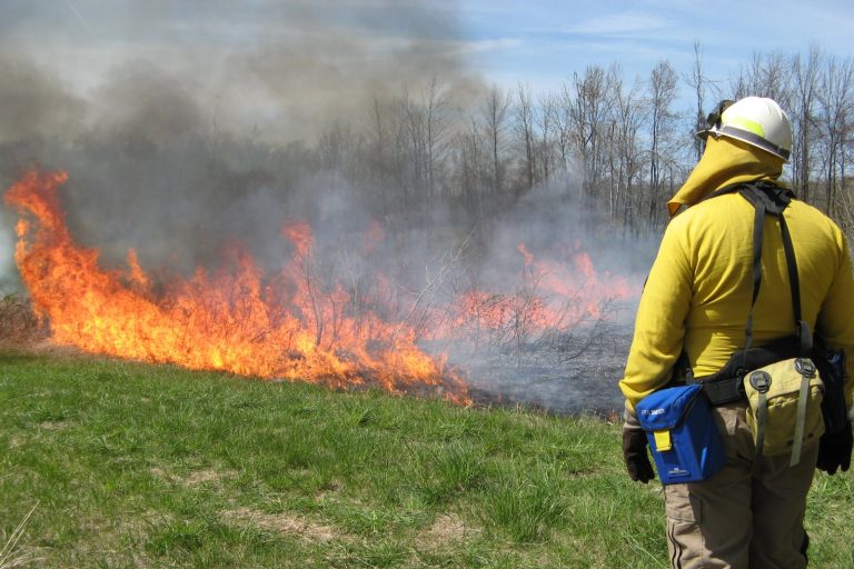 National Wildland Firefighter Week of Remembrance Begins July 1 Amid Brutal Fire Season