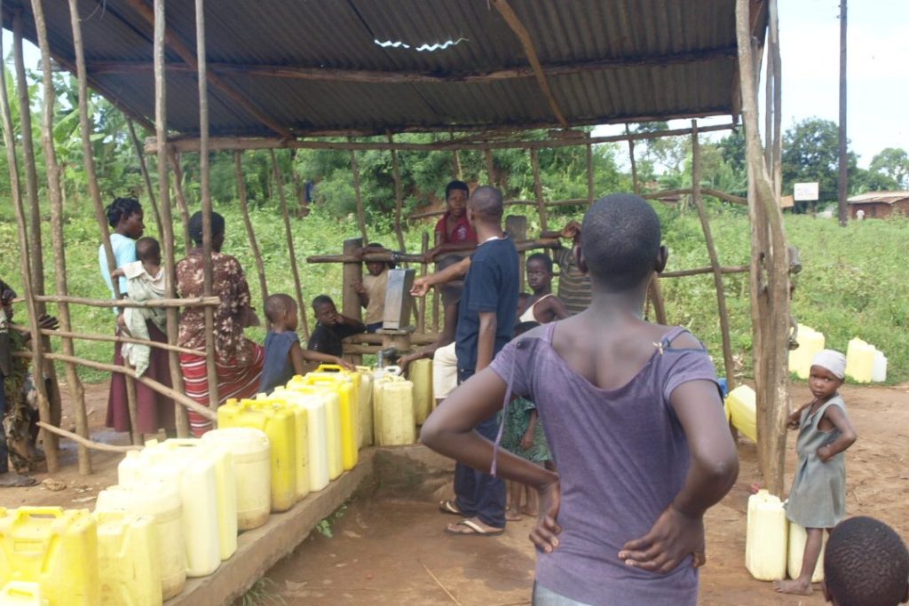 Water Economics: Pricing, Privatization, and Inaction Costs