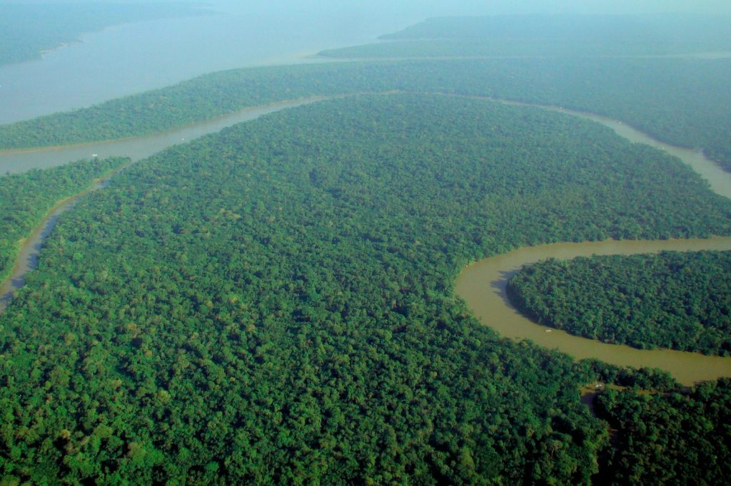 Amazon Structures Suggest Higher Ancient Population Density