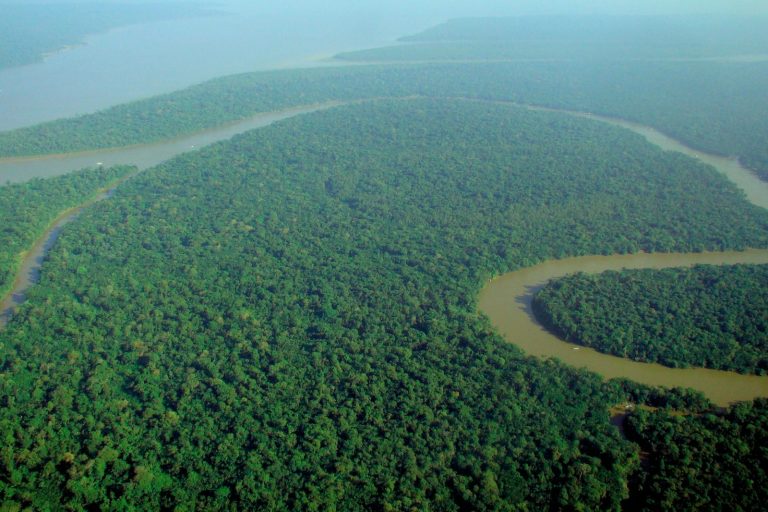 Amazon Structures Suggest Higher Ancient Population Density