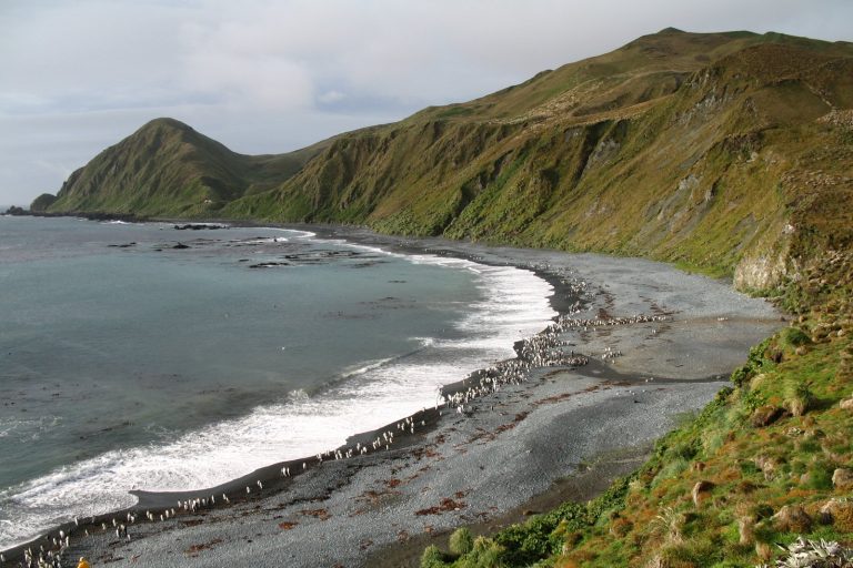 Macquarie Island Quake at 10 km Depth Considered Shallow by Seismologists