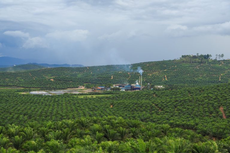 Southeast Asia’s biofuel push faces test of sustainability