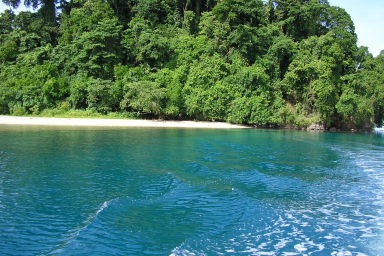 Earthquake of magnitude 5.0 strikes near Kimbe, Papua New Guinea