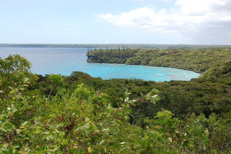 6.3 Quake Strikes Near Loyalty Islands; Shallow Depth Raises Risk