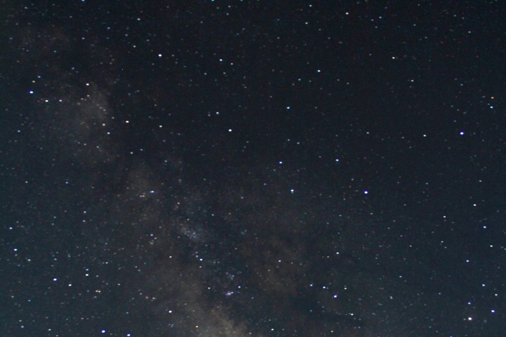 IAU President Debra Elmegreen Fights Satellite Threats to Astronomy
