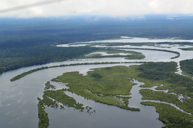 Ancient Amazonian Populations Challenge Modern Development Plans