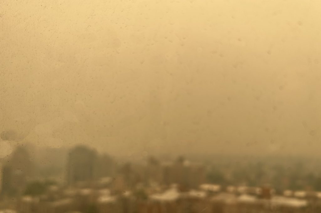 Wildfire Smoke Fine Particles Endanger New York Health