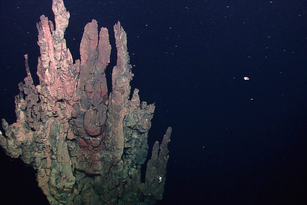 Deep-Sea Vent Ecosystems: 92% Microplastic Contamination Found