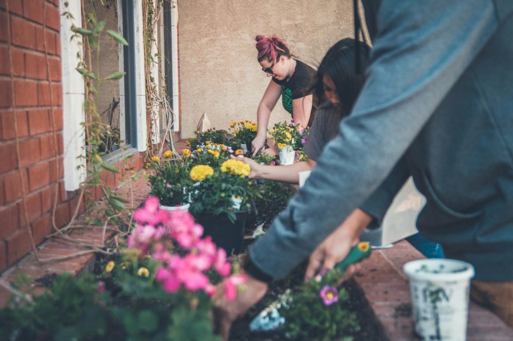 Machine Learning Analysis Finds Communitarian Traits Predict Happiness More Than Economic
