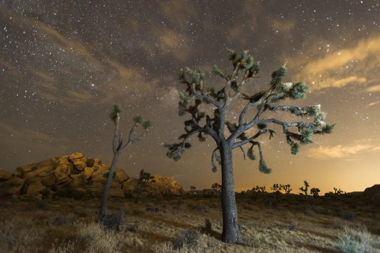 Satellite Light Pollution Threatens Night Sky in National Parks