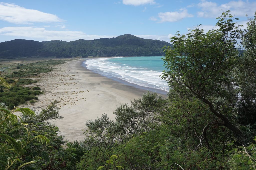 Moderate 5.6 quake shakes New Zealand near Hicks Bay