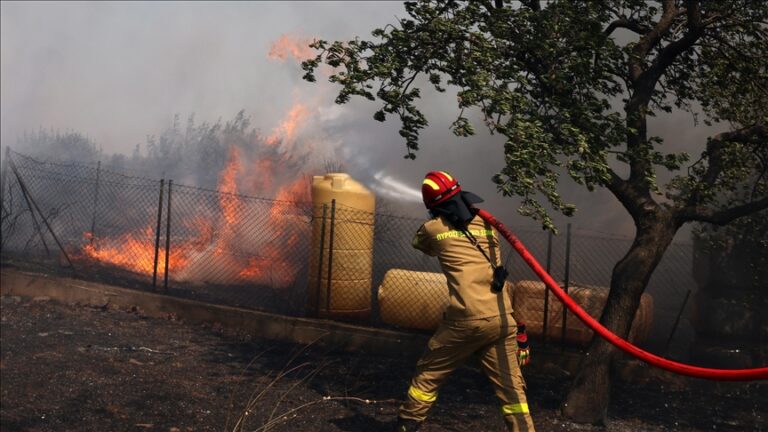 Greek Wildfires Destroy 100 Homes in Attica