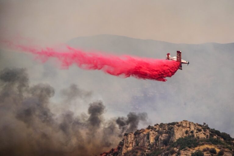 Fires Rage Across Eastern Bolivia’s Diverse Landscapes Suddenly