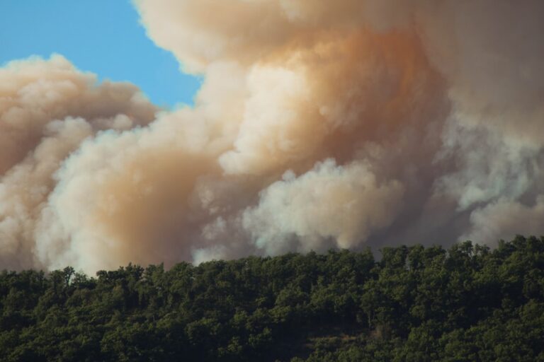 Lahaina Maui Wildfire Kills 93, Deadliest US Blaze Since 1918